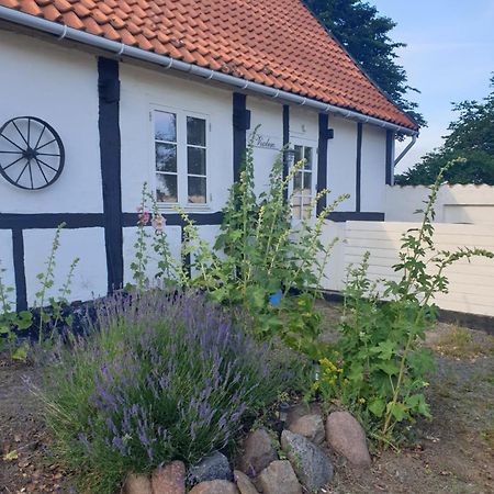 דירות Åkirkeby Violen מראה חיצוני תמונה