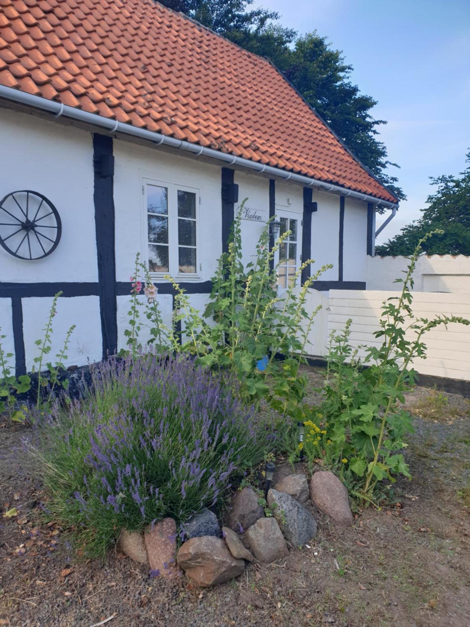 דירות Åkirkeby Violen מראה חיצוני תמונה